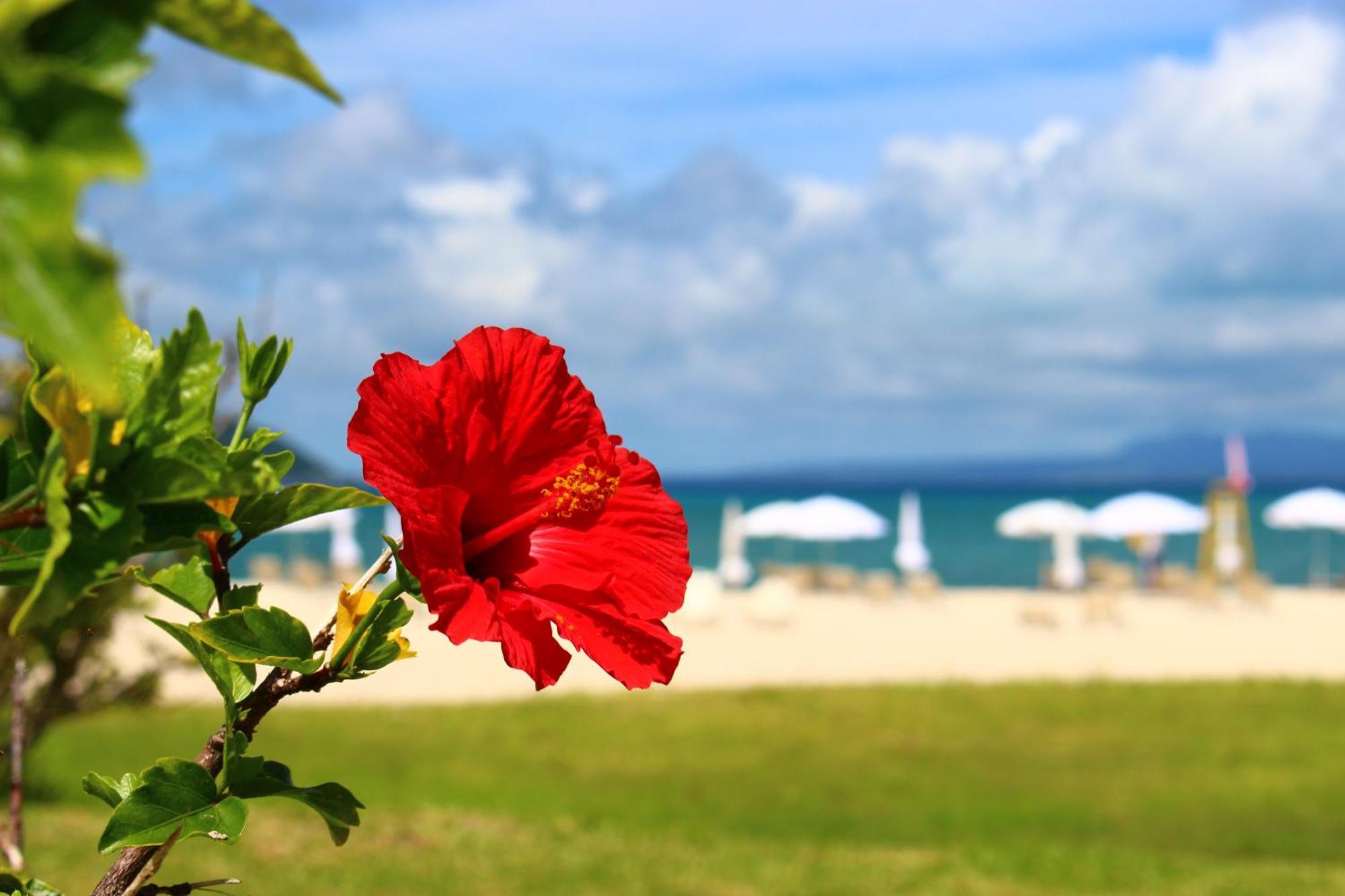 Okuma Private Beach & Resort Kunigami Exteriér fotografie